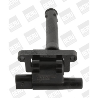 BERU ZS501