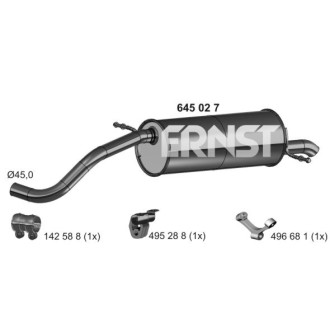 ERNST 645027