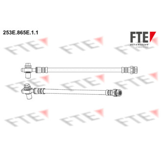 FTE 253E.865E.1.1