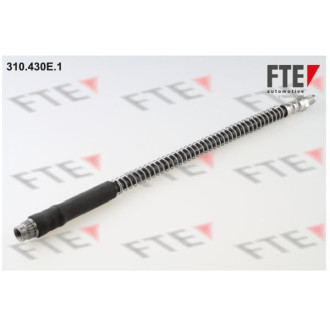 FTE 310.430E.1
