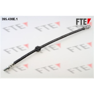 FTE 395.430E.1