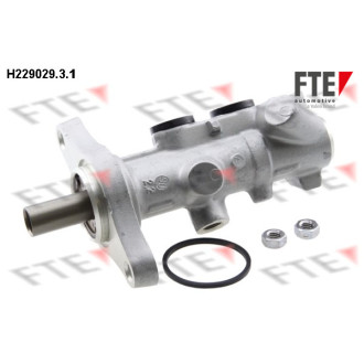 FTE H229029.3.1 FTE H229029.3.1