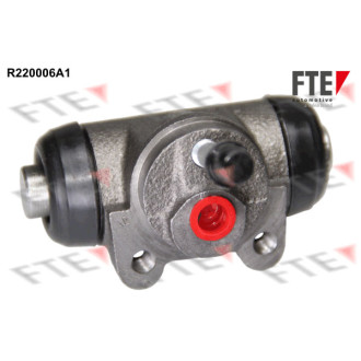 FTE R220006A1