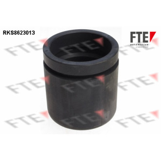 FTE RKS8623013