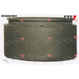 FTE RKS8641001