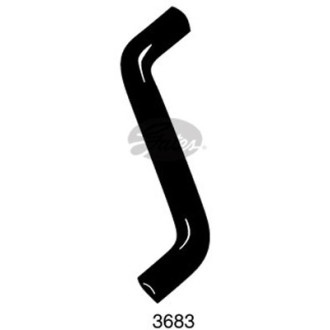 GATES 3683