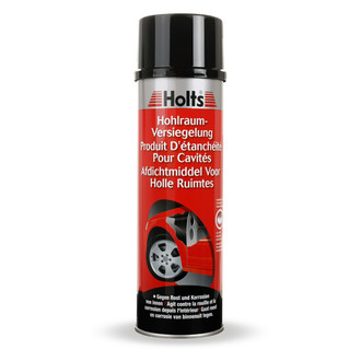 HOLTS Hohlraumvers. 500ml + SCHLAUCH