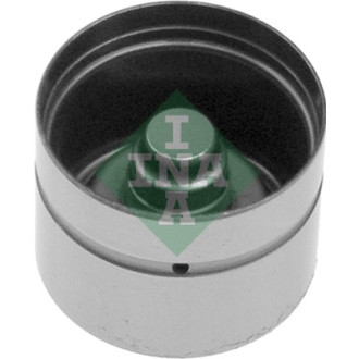 INA 420 0060 10