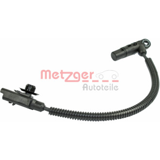 METZGER 0903202