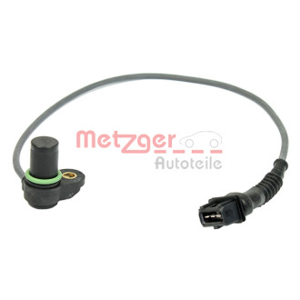 METZGER 0903206