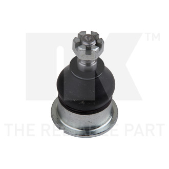 NK 5042613