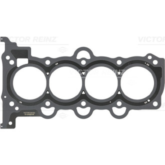 REINZ 61-54020-00