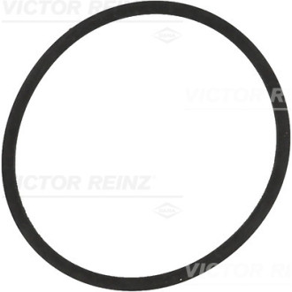 REINZ 71-34204-00