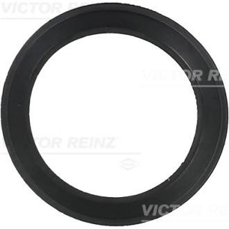 REINZ 71-36061-00