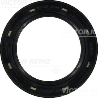 REINZ 81-26248-10