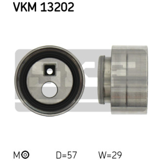 SKF VKM 13202