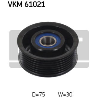 SKF VKM 61021