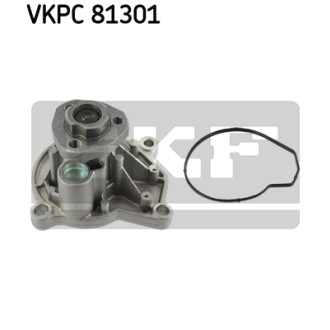 SKF VKPC 81301