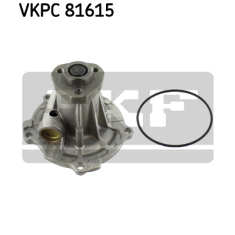 SKF VKPC 81615