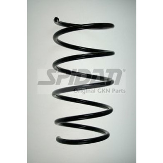 SPIDAN 55091