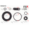 FTE RKS8847031
