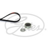 GATES K024PK803