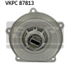 SKF VKPC 87813