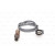 BOSCH F 00H L00 365