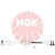 NGK 4104