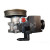 SPIDAN 53815